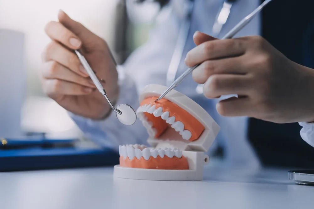 Hands holding a dental mirror and probe beside a jaw model